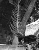 B_W_wooden_horns_wk
